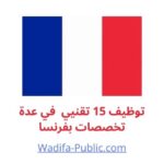 wadifa public - france