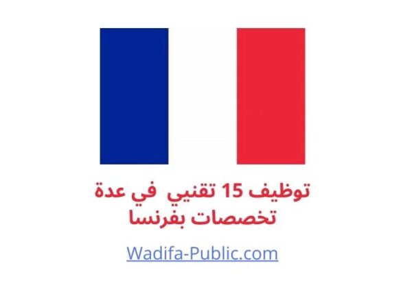 wadifa public - france